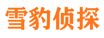 曾都侦探公司